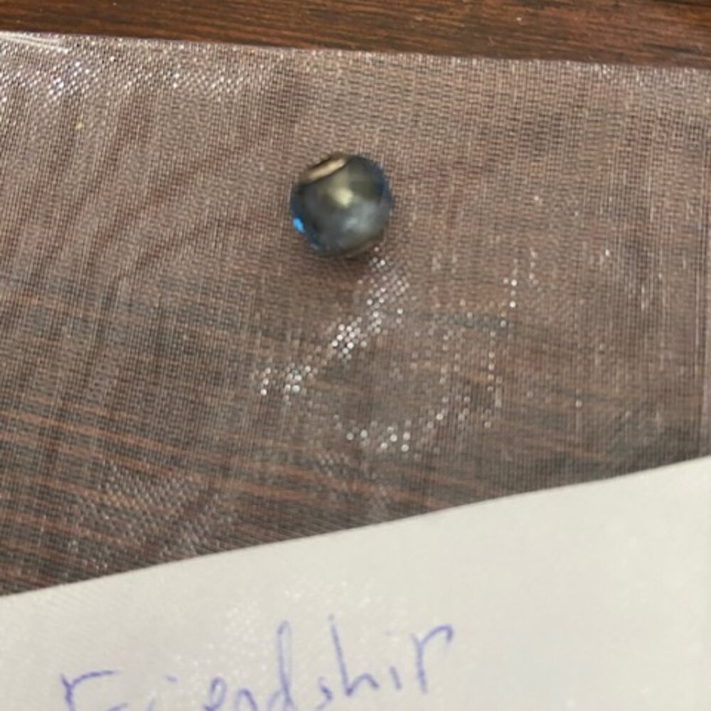 Pandora Essence Friendship Charm